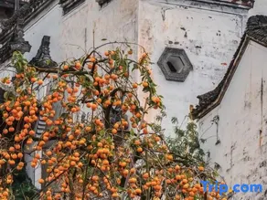 Yunshuju Guesthouse (Wuyuan Muling) - Image 3