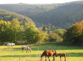 Beautiful House With View of the Houille Valley - Image 4
