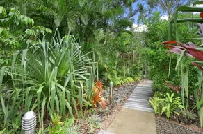 Tea Trees 4 - Image 5