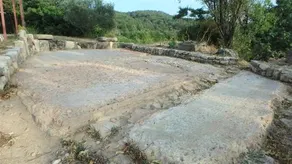 Domaine Saint-Jaume gite Muscat - Image 5