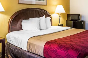 ECONO LODGE  INN & SUITES - Image 4