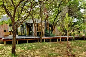 Ngala Lodge - Image 5