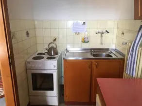 Ecureuil - Image 4