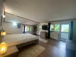Vila Mara Busteni - Image 2
