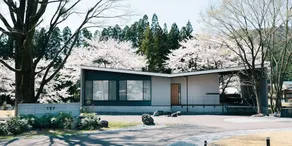Tef Tanigumi - Image 5