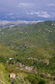 Mare E Legnu - Image 3
