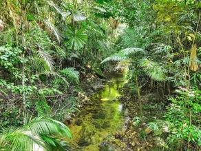 Villa Vihara Rainforest Penthouse - Image 4