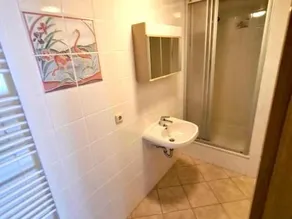 Spacious Holiday Home in Bärenstein with Garden - Image 4