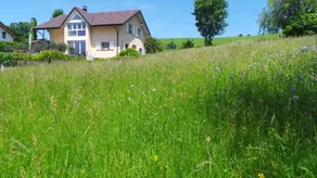 B&B Quartenoud - Image 5