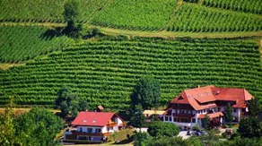 Wisser`s Sonnenhof Landhotel - Image 5