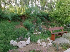 Apartments Marela - Image 3