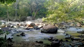Milla Resort - Image 3