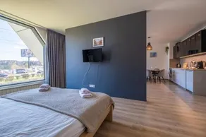 Arcadia Luxury Apartment whit Private Park - Image 4