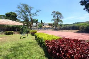 Parisons Plantation Experiences - Image 5