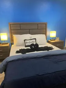 Santorini Suite Houston NRG TMC - Image 3