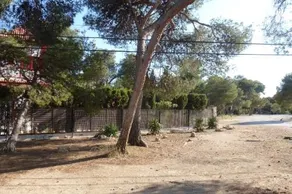 Villas Los Leones - Image 3