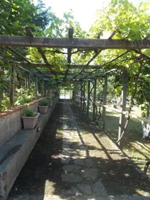 Casa Liperni - Image 2