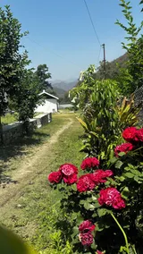 Geeta Ji Home Stay - Image 4
