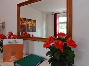 Spacious Holiday Villa in the Ore Mountains With Infrared Sauna and a Large Garden - Image 5