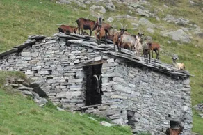 Rifugio Salvin - Image 3