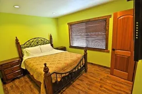Magic Forest Disney Theme Home - Image 4