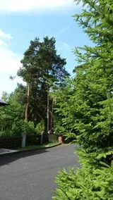 Hotel Evropa - Image 5