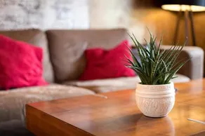 Special Retreat Apartment & Home-Office & Workplace - Image 4