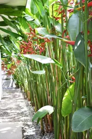 Cape Rawai Villas - Image 3