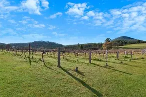 Howes Valley Hideaway - Edge of the Wild - Image 2