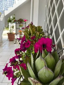 Casa Vacanze Alle Colonne - Image 2