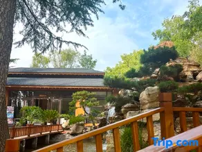 Yongjing Centennial Zaoyuan Resort - Image 4