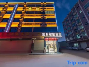 Ziyue Smart Hotel (Shuikou Dongjiang Industrial Park) - Image 4