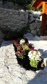 Casa Immersa Nel Verde - Image 4