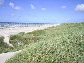 Guldager Camping - Image 4