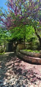 Kiriaki Traditional Hotel & Junior Suites - Image 2