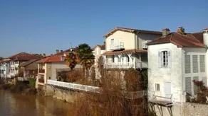 Studio De Tourisme Tilleuls - Image 4