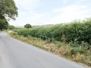 THE OLD SCHOOL - Image 5