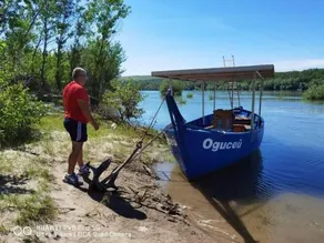 The Old Catfish - Image 4