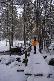 Panoramablick Höllbachtal - Image 5