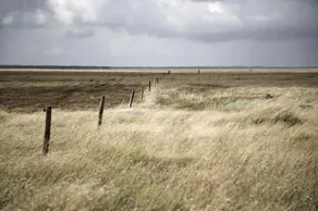 Ballum Camping - Image 2