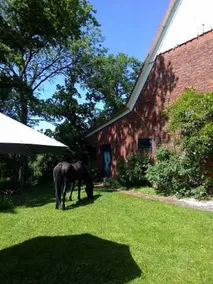 Ferienwohnung Unterm Reetdach - Image 3