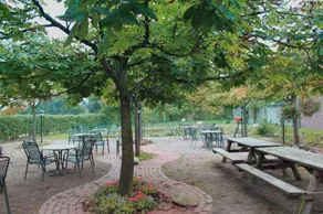 Zum Landkrog - Image 4