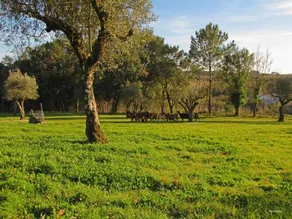 Quinta Do Cerquito - Image 3