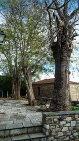 Dandy Villas Vintage Cottage House - Pelion - Image 5