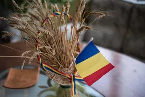 Fata Verde - Image 5