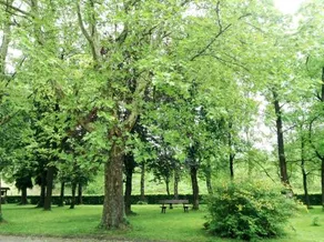 Grünes Türl - Image 3