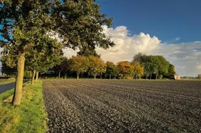 Katrins Ferienhof - Image 5