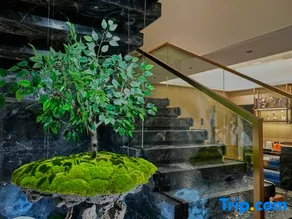 Jing Impression  Hotel (Chongli Store) - Image 5
