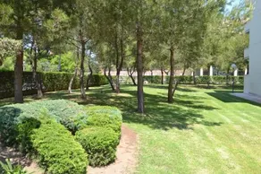 Wvp Aqua I - Image 5