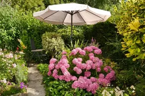 De Hamsche Kuul Bed And Breakfast - Image 4